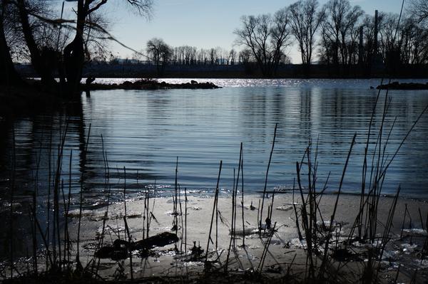 Donau-Ansichten