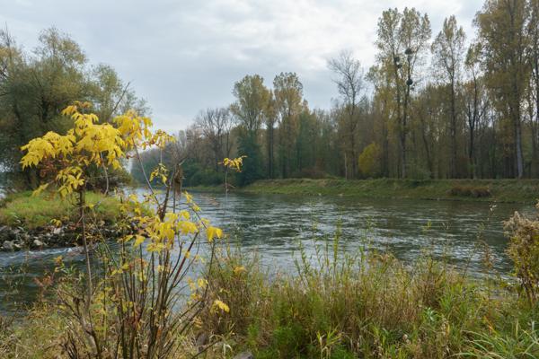 Ein Herbsttag in den Isarauen