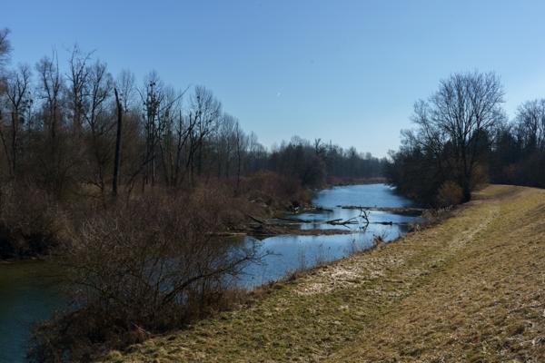 Frühling an der Isarmündung