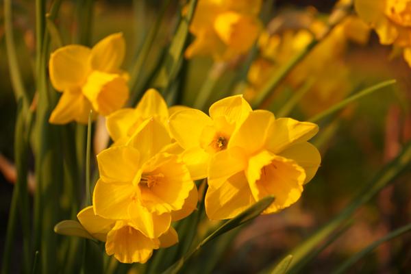 Hallo Frühling!