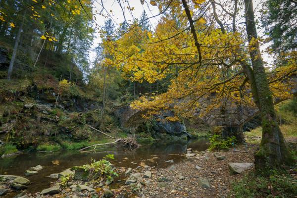 Herbst an der Erlau