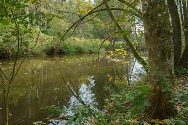 Herbst im Hofkirchner Ohetal