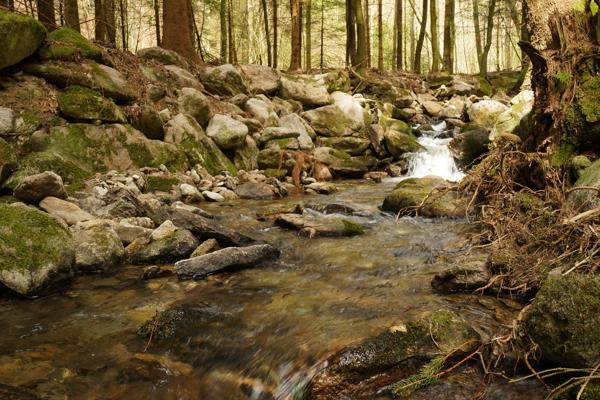 In der Saulochschlucht