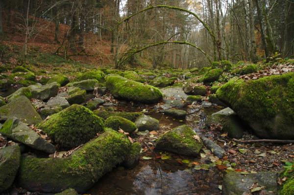 In der Saußbachklamm