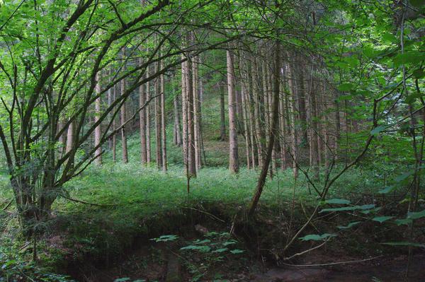 Am Siebenbrückerlweg