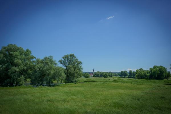 Sommer in den Donauleiten