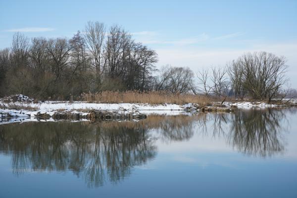 Winter an der Vils