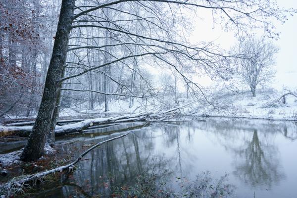 Winterwunderland am Eginger See