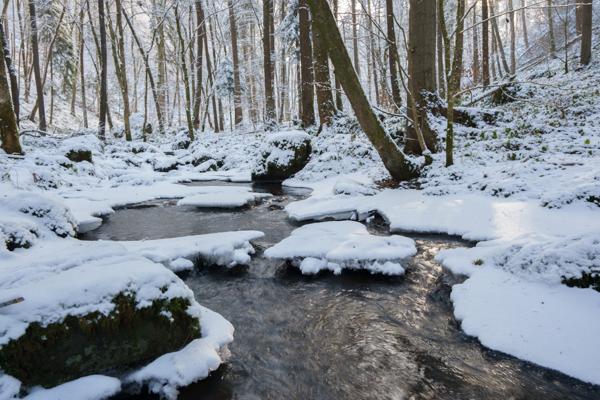 Winterzauber im Laufenbachtal